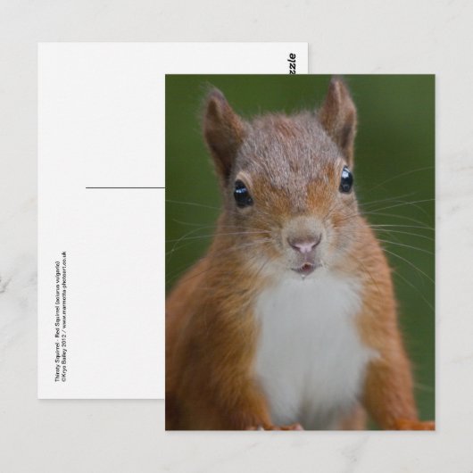 Briefkaart van dorst (Voorkant / Achterkant)