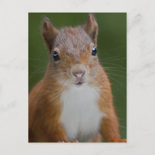 Briefkaart van dorst