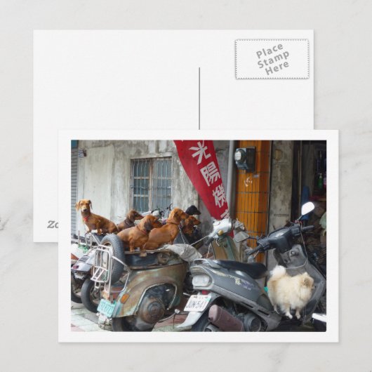 Briefkaart van Doxies (Voorkant / Achterkant)