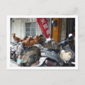 Briefkaart van Doxies (Voorkant)