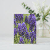 Briefkaart van druiven voor hydraulische lampen (Staand voorkant)