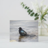 Briefkaart van een bad (Staand voorkant)