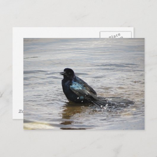 Briefkaart van een bad (Voorkant / Achterkant)