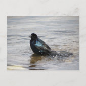 Briefkaart van een bad (Voorkant)