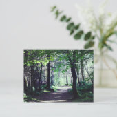 Briefkaart van een Bosgang in Schotland (Staand voorkant)