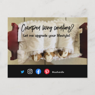 briefkaart van een grappig vastgoed, een gekke hon