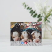 briefkaart van een grappig vastgoed, een gekke hon (Staand voorkant)