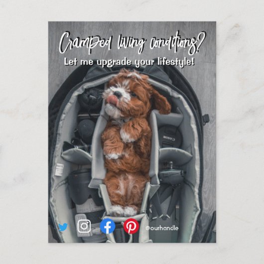 briefkaart van een grappig vastgoed, een gekke hon (Voorkant)