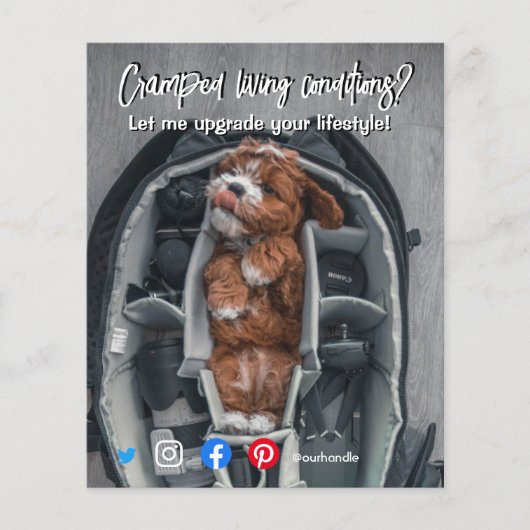 briefkaart van een grappig vastgoed, een gekke hon flyer (Voorkant)