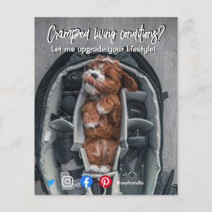 briefkaart van een grappig vastgoed, een gekke hon flyer