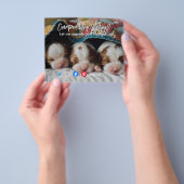 briefkaart van een grappig vastgoed, een gekke hon flyer (Hand)