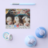 briefkaart van een grappig vastgoed, een gekke hon flyer (Enkel)