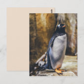 briefkaart van één pinguïn (Voorkant / Achterkant)