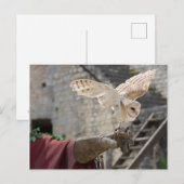 Briefkaart van een uil (Voorkant / Achterkant)