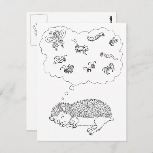 Briefkaart van Egel Dreams (Voorkant / Achterkant)