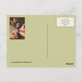 Briefkaart van egel en caroliniewren (Achterkant)