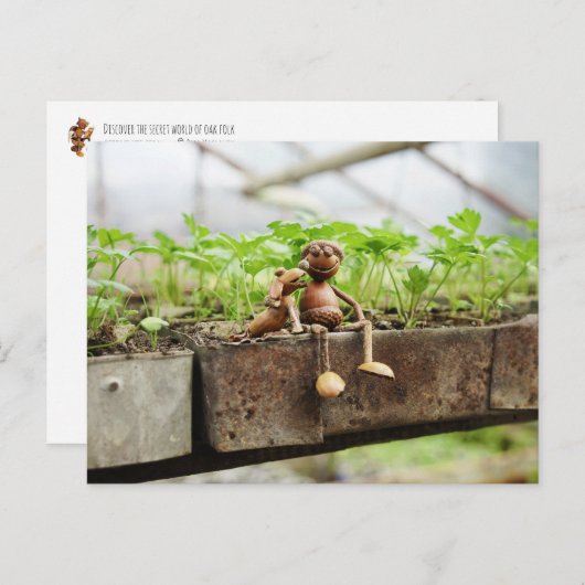 Briefkaart van eikelveer (Voorkant / Achterkant)