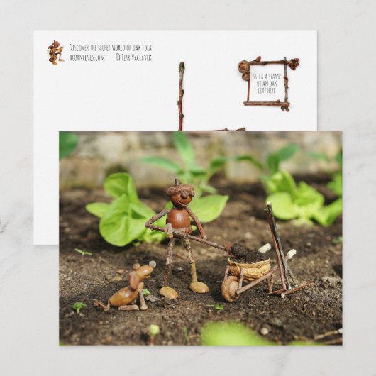 Briefkaart van eikelveer (Voorkant / Achterkant)