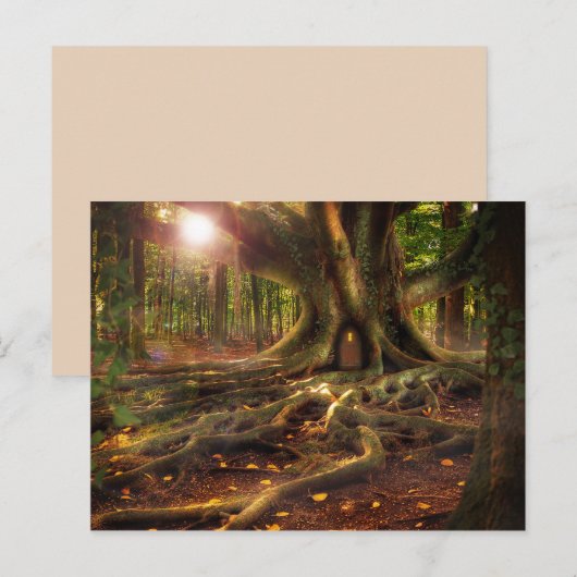 briefkaart van elfin (Voorkant / Achterkant)