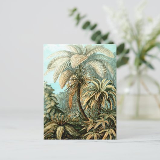 Briefkaart van Ernst Haeckel in de Filicinae (Tree (Staand voorkant)