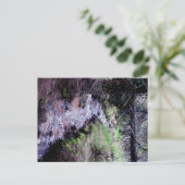 Briefkaart van Evergreen, Colorado (Staand voorkant)