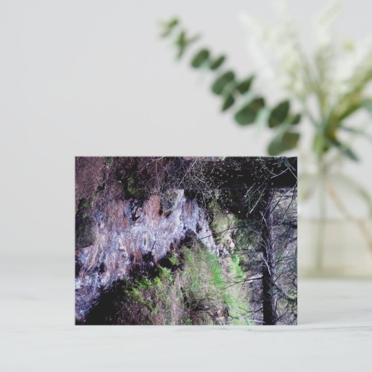 Briefkaart van Evergreen, Colorado (Staand voorkant)