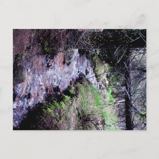 Briefkaart van Evergreen, Colorado (Voorkant)