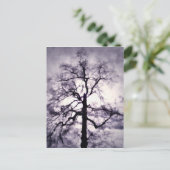 Briefkaart van fhantasta (Staand voorkant)