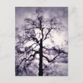 Briefkaart van fhantasta (Voorkant)