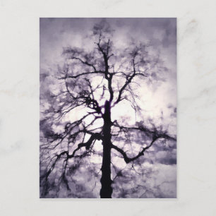 Briefkaart van fhantasta