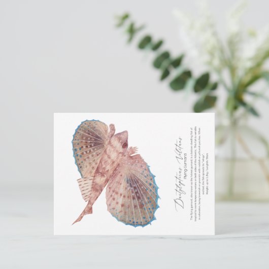 Briefkaart van Flying Gurnard (Staand voorkant)