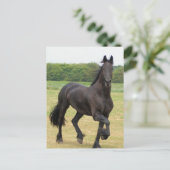 Briefkaart van Friesian Horse (Staand voorkant)