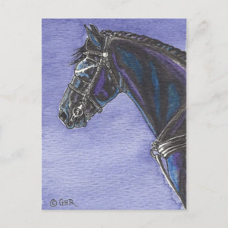 Briefkaart van Friesian Horse