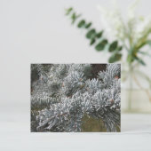 Briefkaart van Frosty Spruce (Staand voorkant)