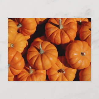 Briefkaart van fruit en levensmiddelen 17