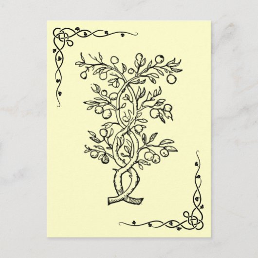 Briefkaart van fruitbomen (Voorkant)