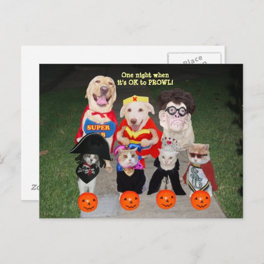  Briefkaart van Funny Pets/Uitnodiging (Voorkant / Achterkant)