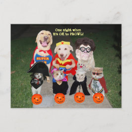 Briefkaart van Funny Pets/Uitnodiging