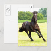 Briefkaart van galoping (Voorkant / Achterkant)