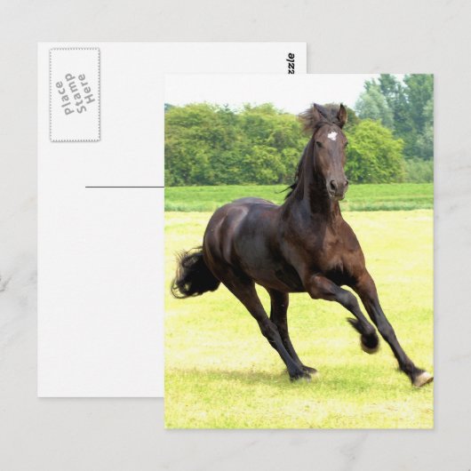 Briefkaart van galoping (Voorkant / Achterkant)