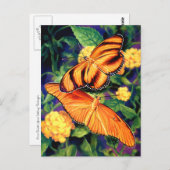 Briefkaart van geborste vlinders (Voorkant / Achterkant)