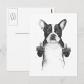 Briefkaart van gecensureerde honden (Voorkant / Achterkant)