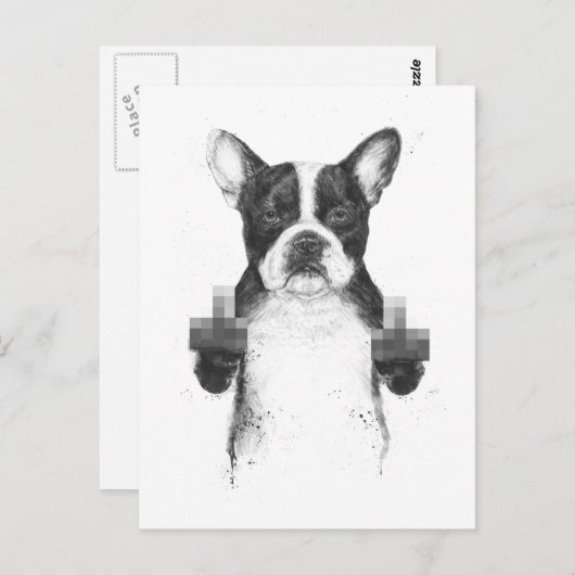 Briefkaart van gecensureerde honden (Voorkant / Achterkant)