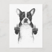 Briefkaart van gecensureerde honden (Voorkant)