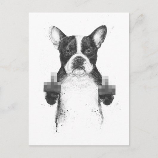 Briefkaart van gecensureerde honden (Voorkant)