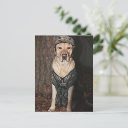 Briefkaart van geel gelaagd lab jagen (Staand voorkant)