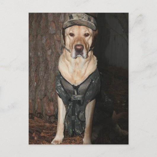 Briefkaart van geel gelaagd lab jagen (Voorkant)