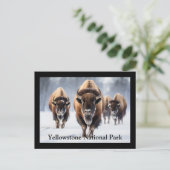 Briefkaart van geelsteen (Staand voorkant)