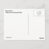 Briefkaart van geelsteen (Achterkant)