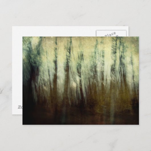 Briefkaart van gehakte Bossen (Voorkant / Achterkant)